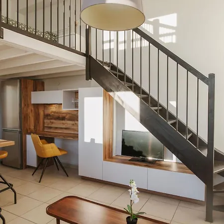 Le Joyau Loft Historique Et Arbore Avec Garage Lejlighed *