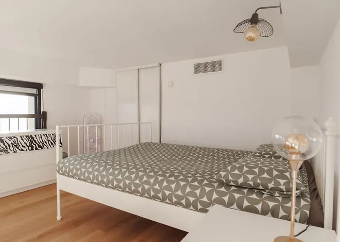 Le Joyau Loft Historique Et Arbore Avec Garage * Montpellier