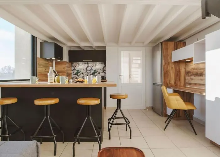 Lejlighed Le Joyau Loft Historique Et Arbore Avec Garage Montpellier